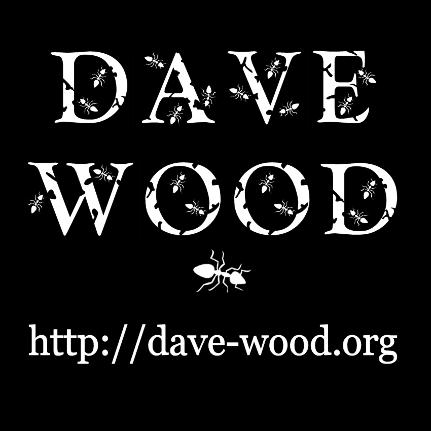 Dave Wood